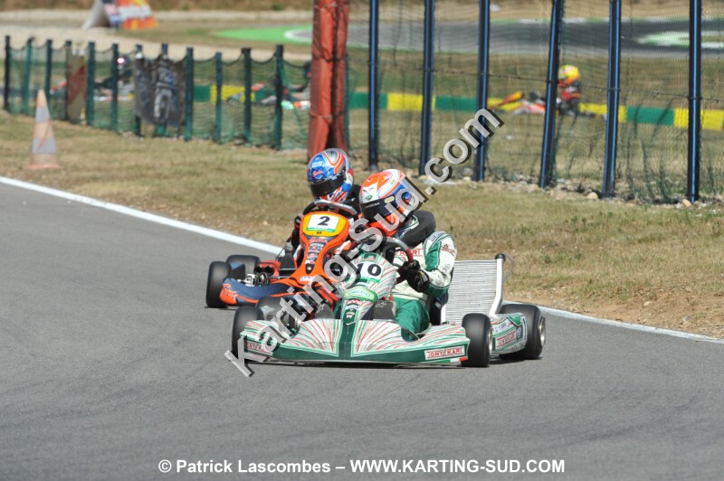 DSC_ (1768).JPG